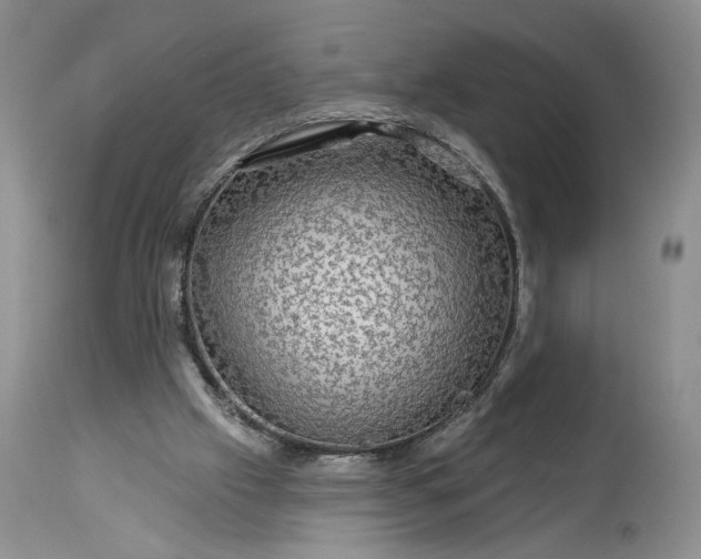 X0000114210057200910231415