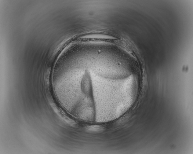 X0000114210058200910231415