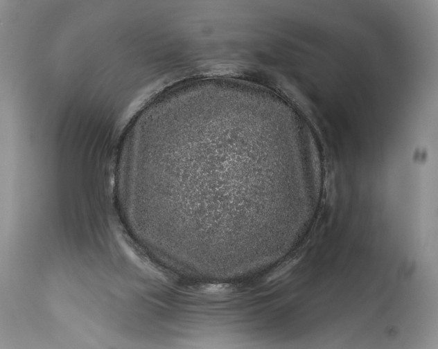 X0000114210059200910231415