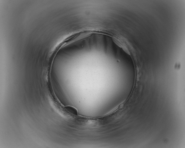 X0000114210060200910231415