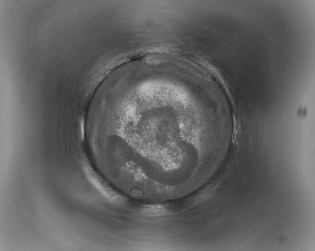 X0000114210061200910231415