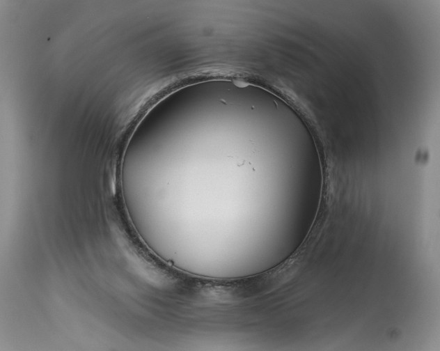 X0000114210062200910231415