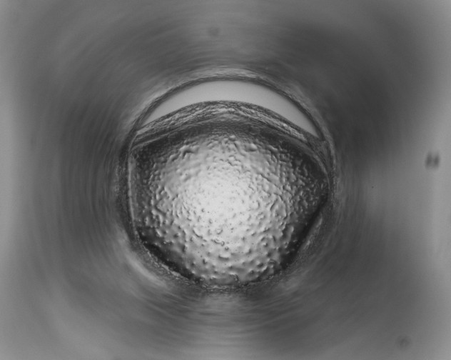 X0000114210063200910231415