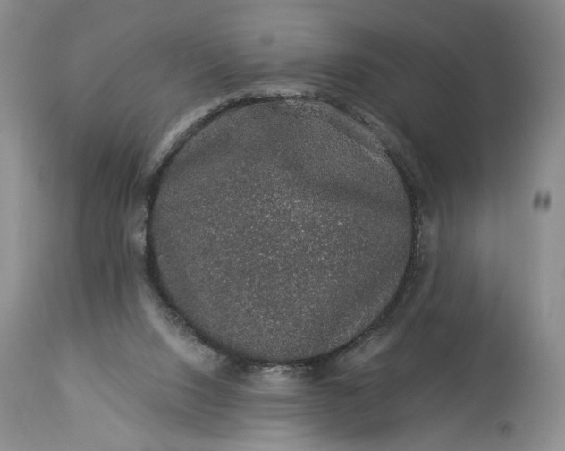 X0000114210064200910231415