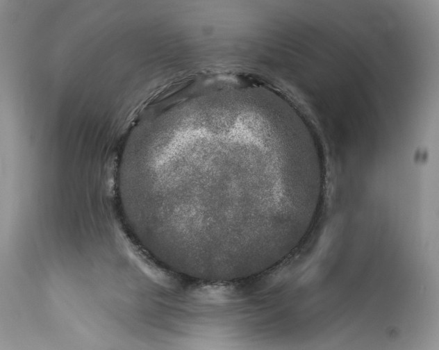 X0000114210065200910231416