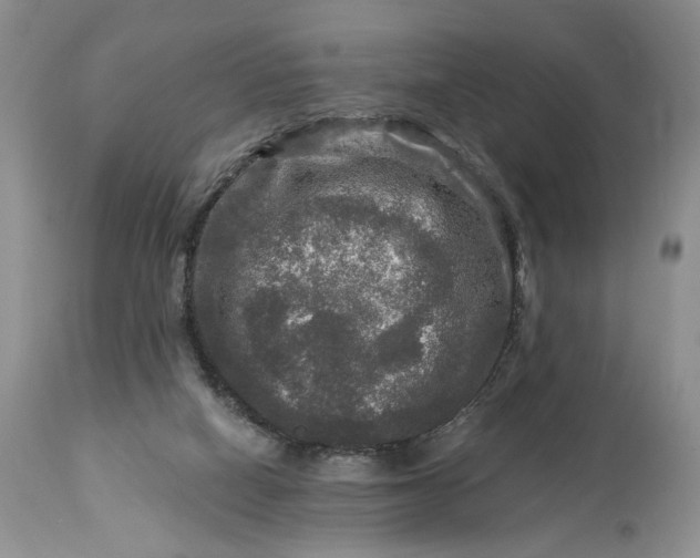 X0000114210066200910231416