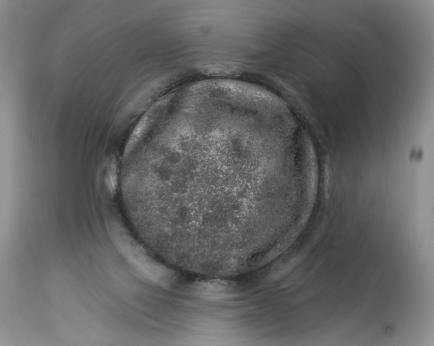 X0000114210069200910231416