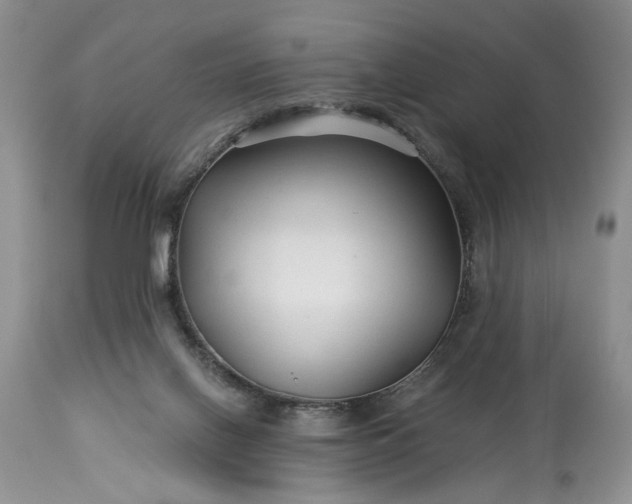 X0000114210070200910231416