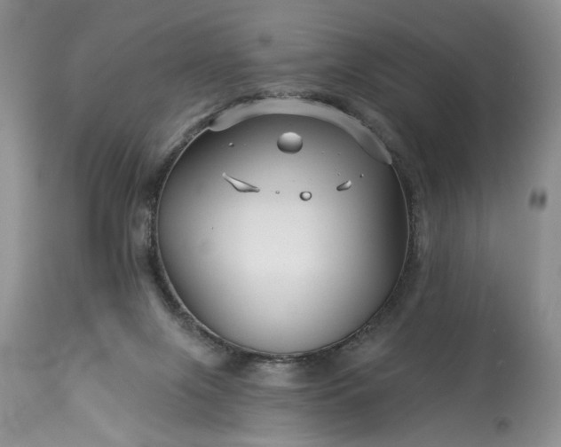 X0000114210071200910231416