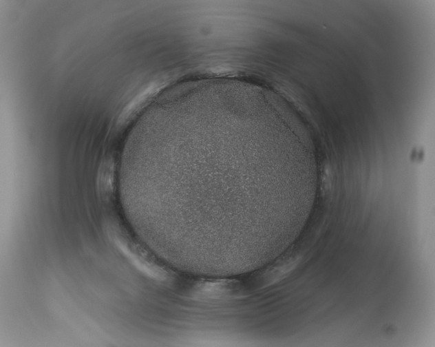 X0000114210072200910231416