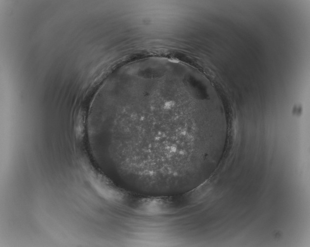 X0000114210074200910231416