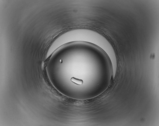 X0000114210076200910231416