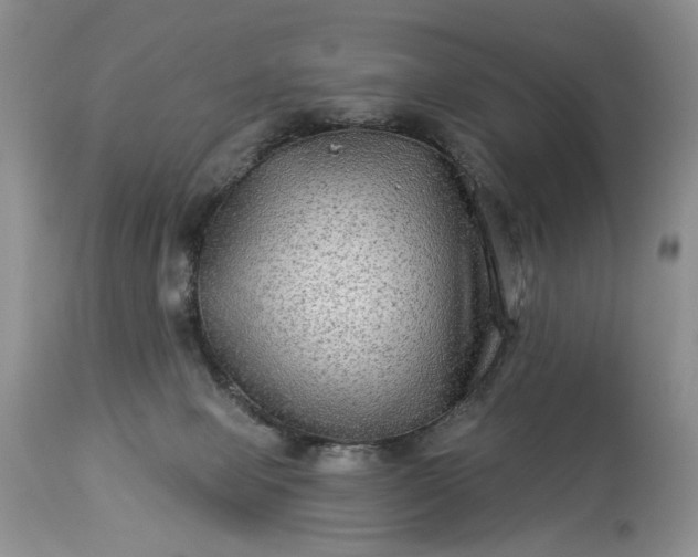 X0000114210077200910231416