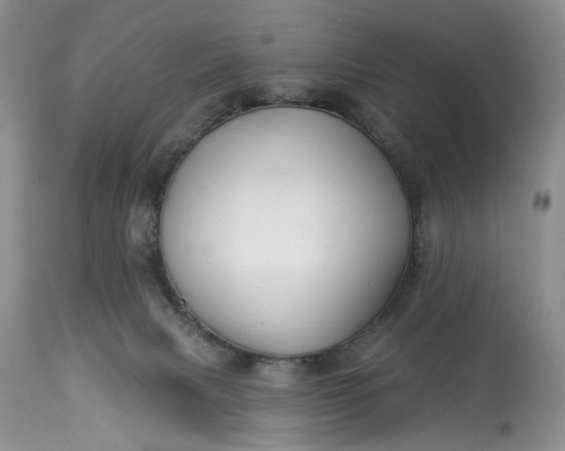 X0000114210079200910231416