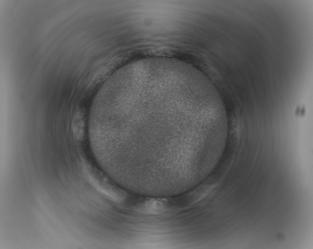 X0000114210080200910231416