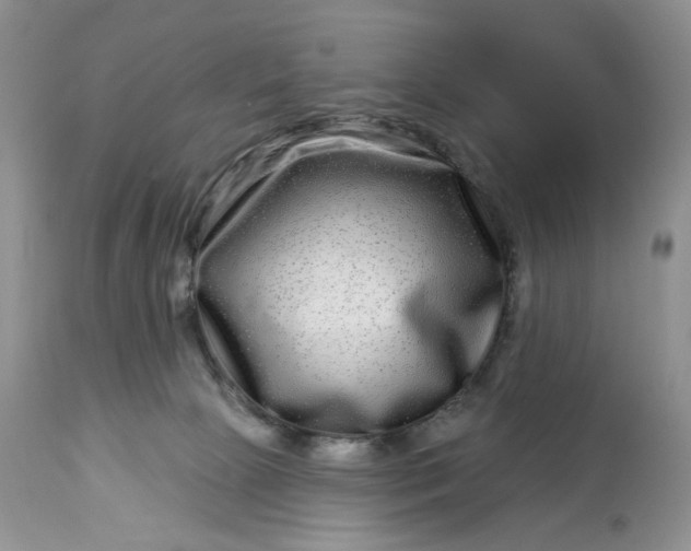 X0000114210081200910231416