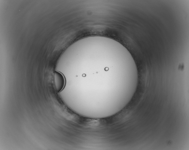 X0000114210083200910231416