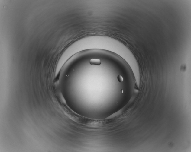 X0000114210084200910231416