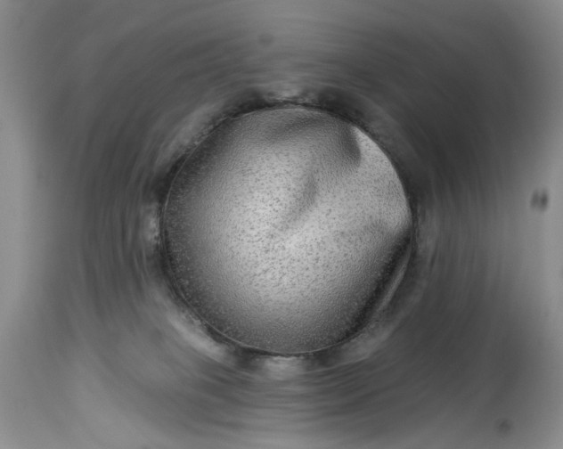 X0000114210085200910231416