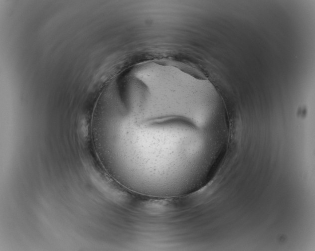 X0000114210086200910231416