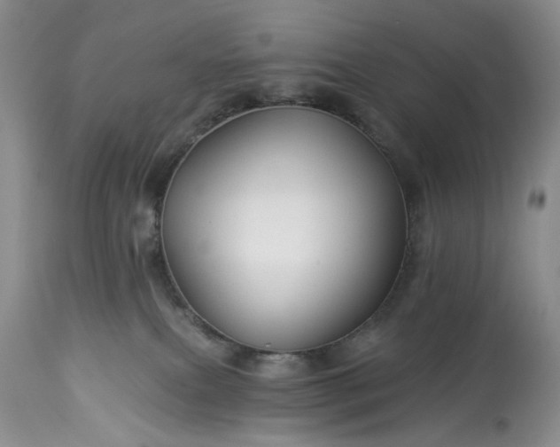 X0000114210087200910231416