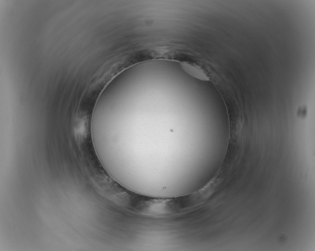 X0000114210090200910231416