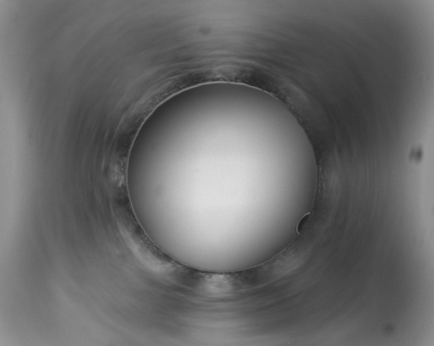 X0000114210091200910231416