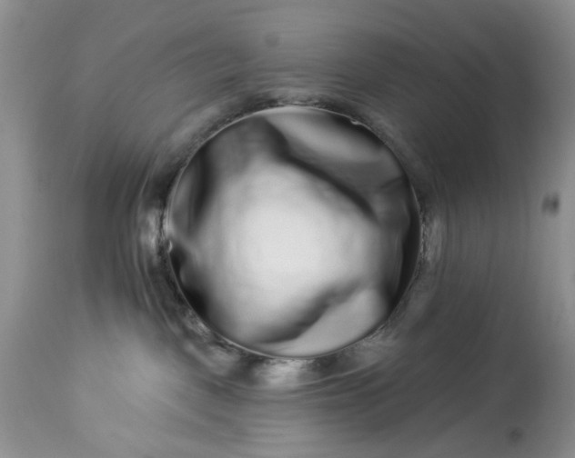 X0000114210093200910231416