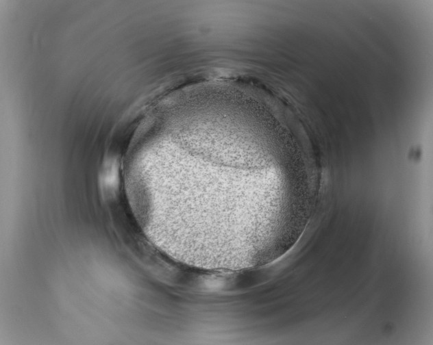 X0000114210094200910231416