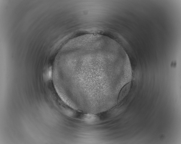 X0000114210095200910231416