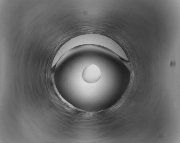 X0000114210096200910231416