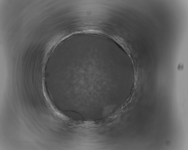 X0000114210097200910231415