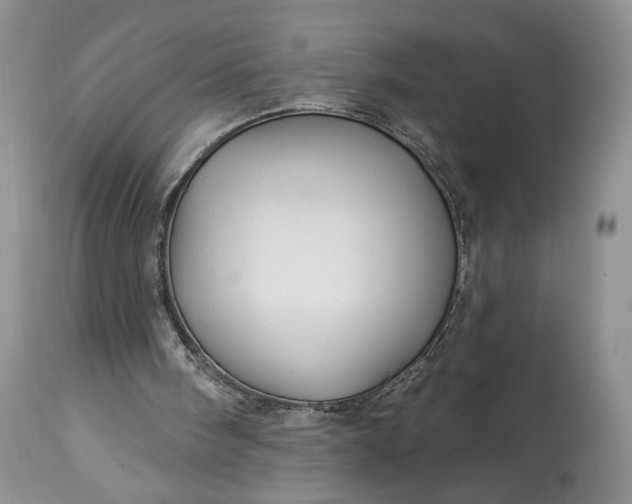 X0000114210098200910231415