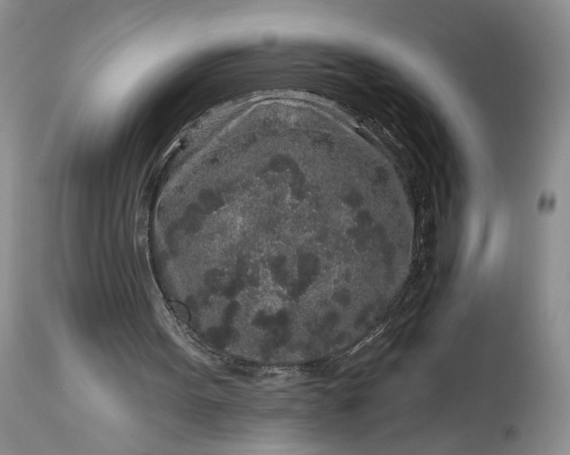 X0000114210099200910231415