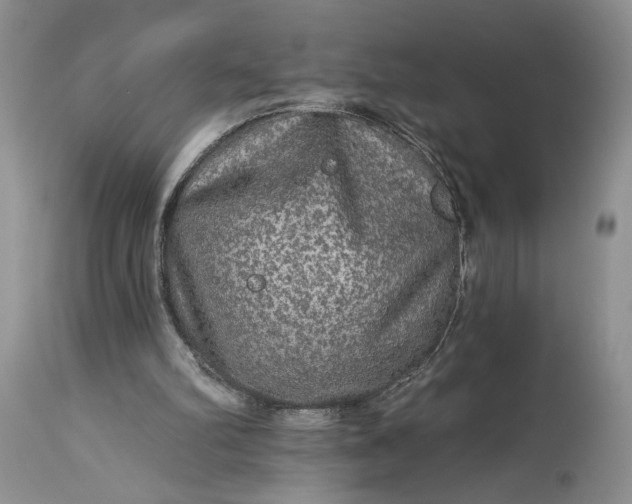 X0000114210102200910231415