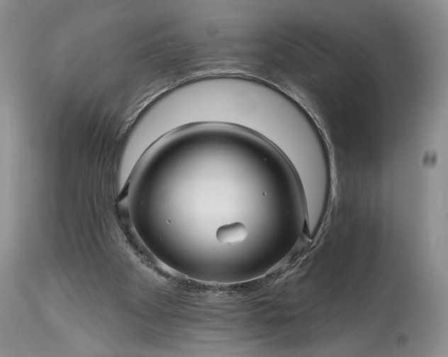 X0000114210105200910231415