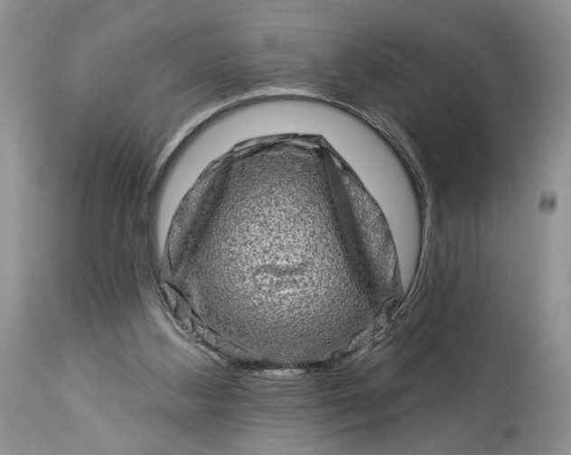 X0000114210108200910231415