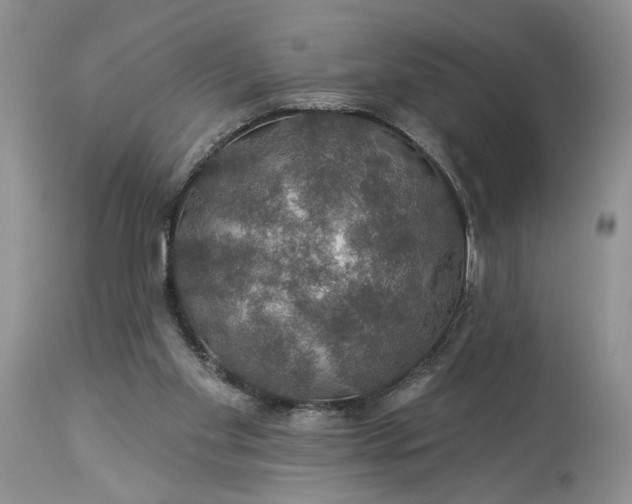 X0000114210109200910231415