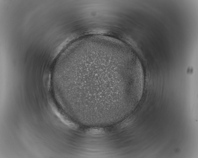 X0000114210110200910231415