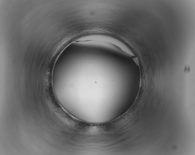 X0000114210111200910231415