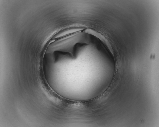 X0000114210112200910231415