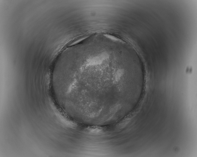 X0000114210113200910231415