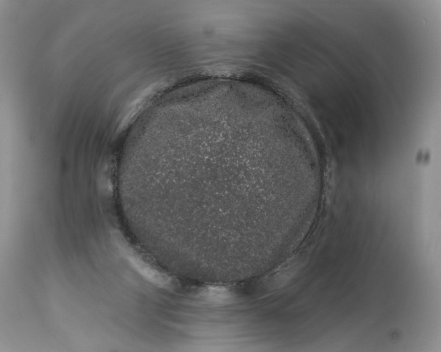 X0000114210114200910231415