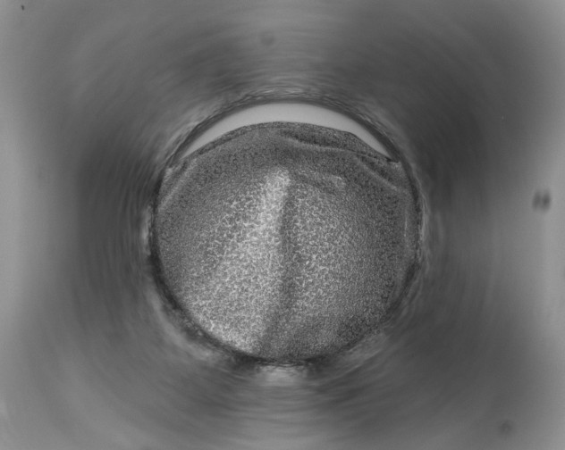 X0000114210115200910231415