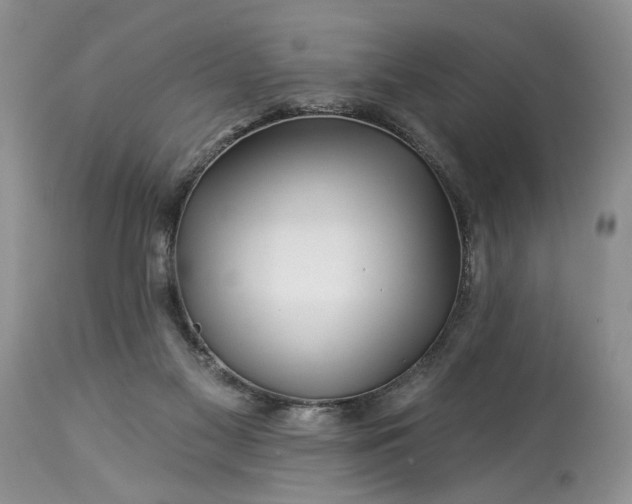 X0000114210117200910231415