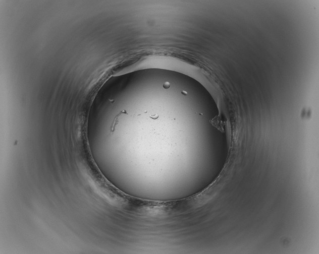 X0000114210120200910231415