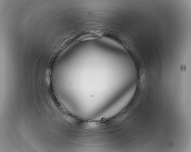 X0000114210121200910231415