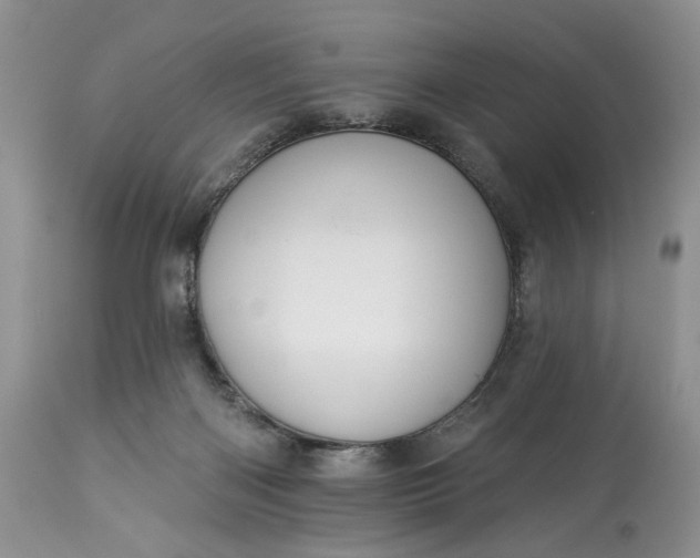 X0000114210122200910231415