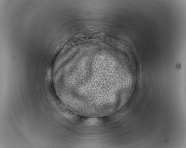 X0000114210123200910231415