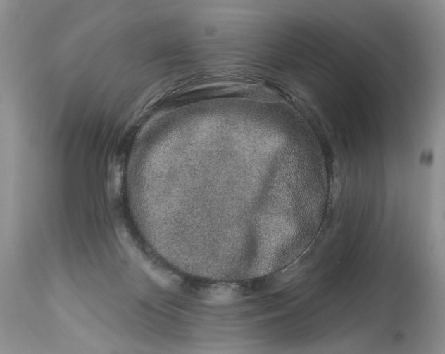 X0000114210124200910231415